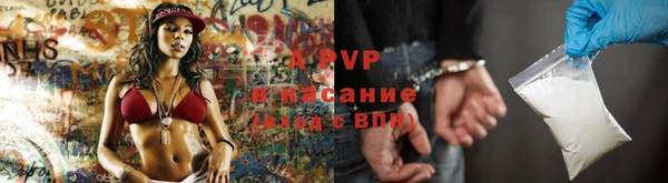 стаф Алексин