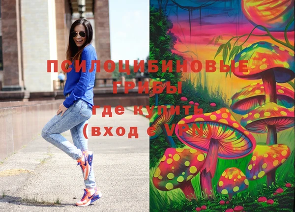 не бодяженный Алзамай