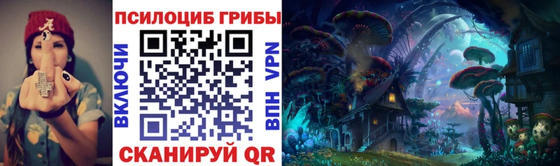 даркнет сайт  Лениногорск  Псилоцибиновые грибы MAGIC MUSHROOMS 