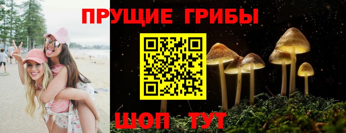 Лениногорск  Галлюциногенные грибы прущие грибы  Вход с VPN 